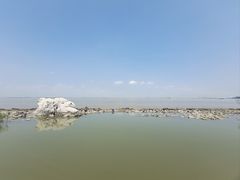 -上海吴淞炮台湾国家湿地公园