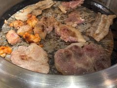 -温州体育中心游泳馆
