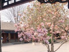 -荣国府