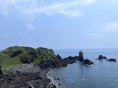-涉地可支