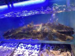 -海吃海喝海鲜烤肉餐厅