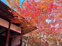 -常寂光寺