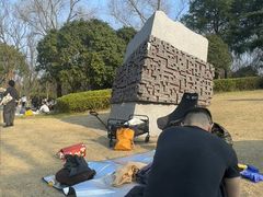 -洋湖国家湿地公园
