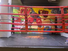 -大焱搏击·泰拳·拳击俱乐部(大柏树店)