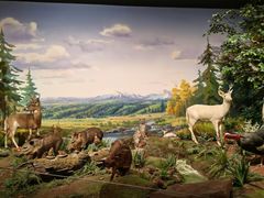 -陕西自然博物馆