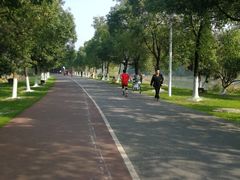 -艾溪湖湿地公园