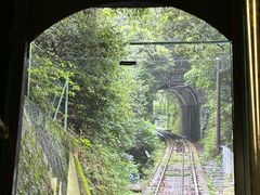 -神户市立六甲山牧场