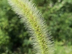 -碓臼峪自然风景区