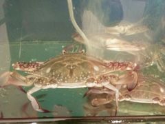 -合家小菜餐馆(新诚花苑店)