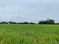 -中国天府农业博览园