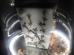 -海合安青岛极地海洋公园