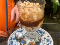 -Fern Forest Cafe