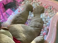 -CIAO·团建聚餐·生日派对轰趴馆(福田店)