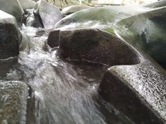 -成都市活水公园
