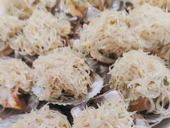 -山海经·海边人家 海鲜新青岛菜(扬州路店)