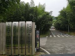 -都江堰中华大熊猫苑