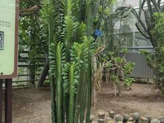 -南山植物园