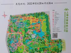 -上海共青森林公园