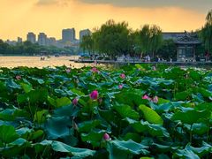 -济南大明湖景区