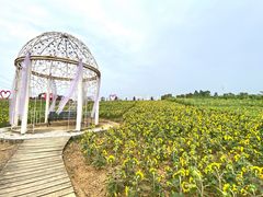 -紫颐香薰山谷景区