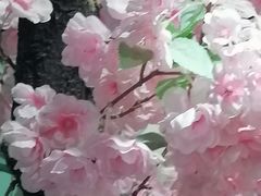 -学习谷日语培训日本留学·多语种外语教学(海淀人大分部)