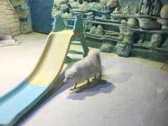 -华夏文旅海洋公园