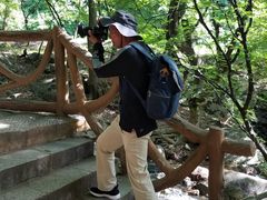 -红崖峡谷景区