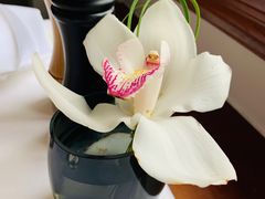 -上海和平饭店华懋阁 Cathay Room