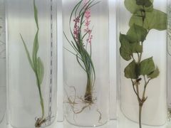 -北京中医药大学-中医药博物馆