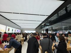 -Apple零售店(成都太古里店)