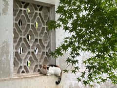 -西园戒幢律寺