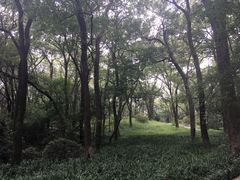 -食膳公园包子铺(烈士公园店)