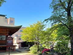 -医王山·飞騨国分寺
