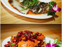 -白沙门生态公园