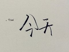 -巴蜀大宅门火锅(新华公园店)