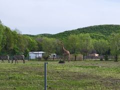 -哈尔滨北方森林动物园