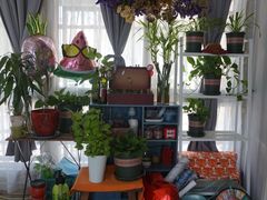 -吃饼人西餐(南开店)