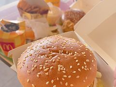 -麦当劳(庐山南路店)