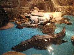 -多彩贵州城极地海洋世界