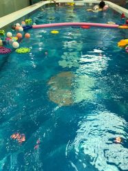 -趣游baby swim婴童游泳·盐氧护(旭辉u天地店)