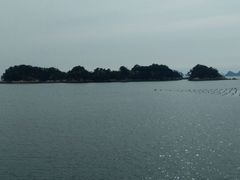 -西海国立公园九十九岛水族馆