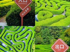 -龙凤山庄影视度假村