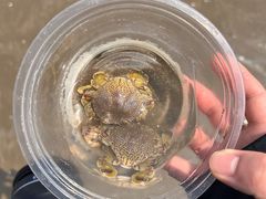 -珠海金沙滩
