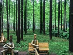 -黄海国家森林公园