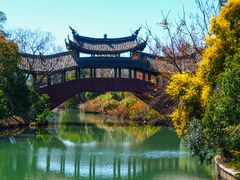-三垟湿地