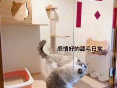 -Double Rui宠物酒店