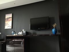 -常州环球恐龙城维景国际大酒店