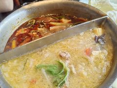 -鼎王麻辣锅(七贤店)