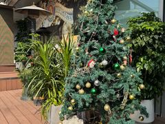 -Paulaner·德国帕拉娜自酿啤酒餐厅(海上世界店)