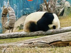 -鄂尔多斯野生动物园